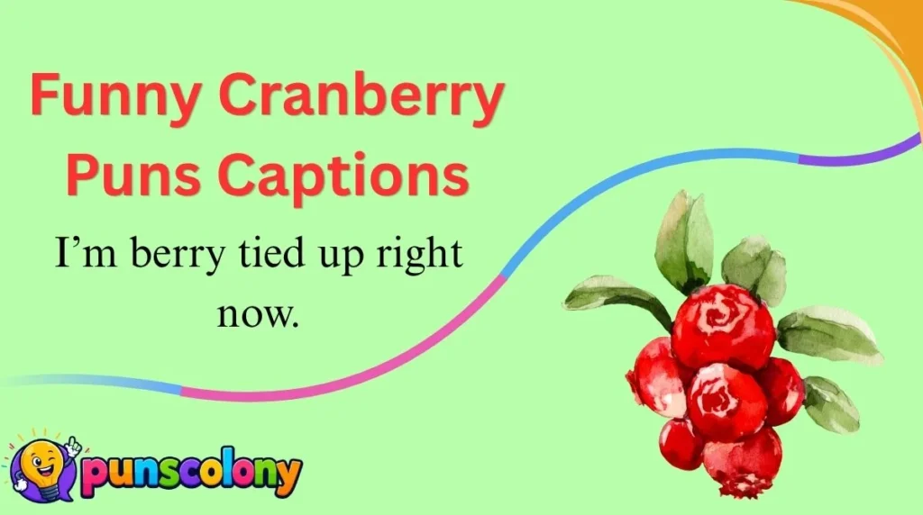 Funny Cranberry Puns Captions