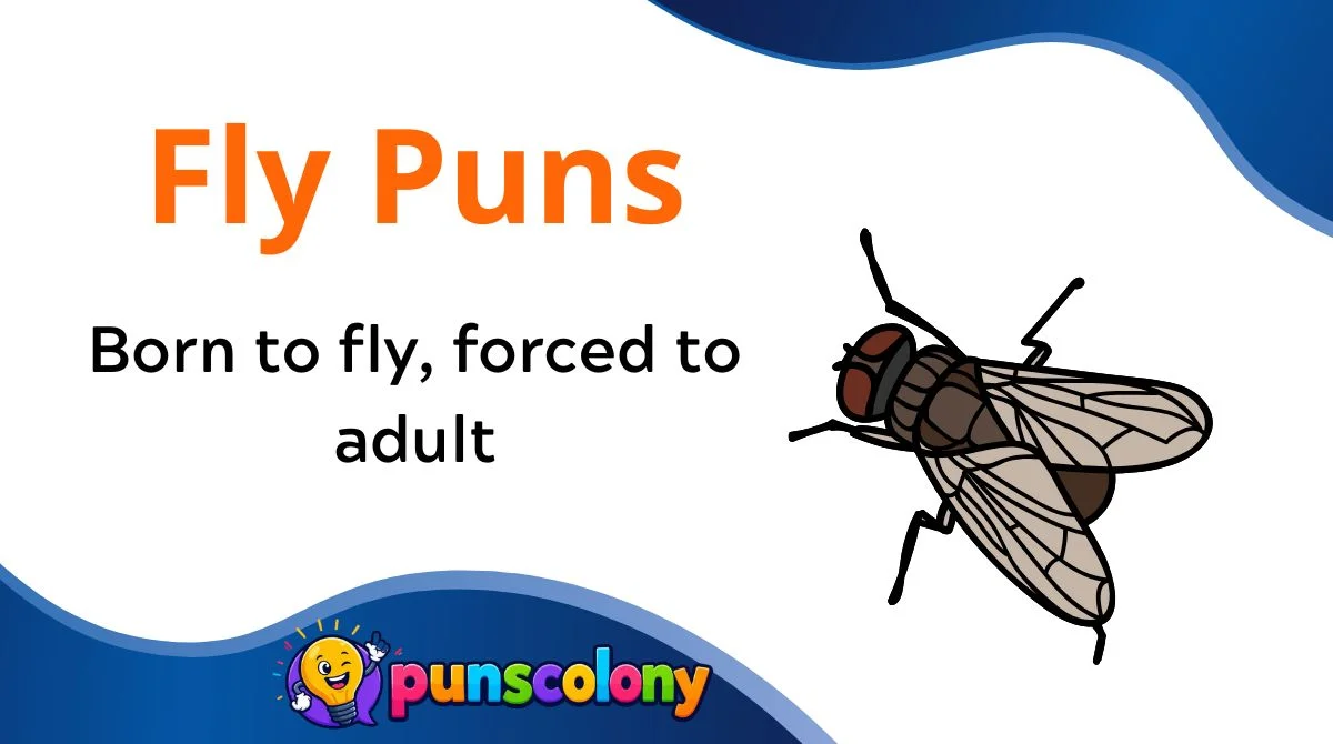 Fly Puns