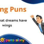 Flying Puns