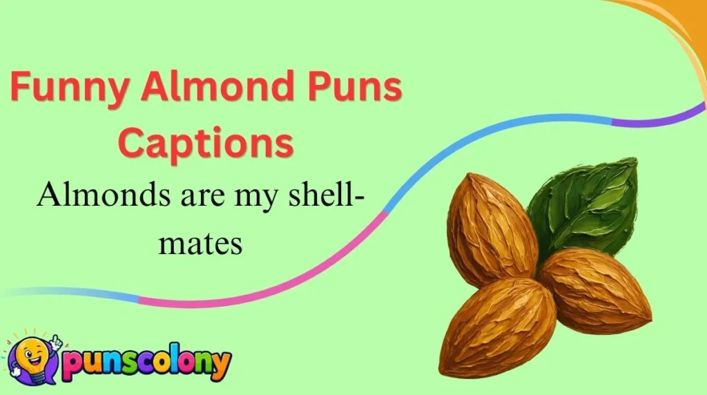 Funny Almond Puns Captions