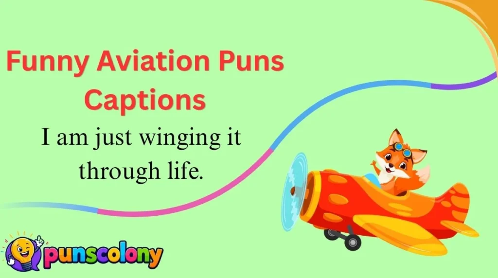 Funny Aviation Puns Captions