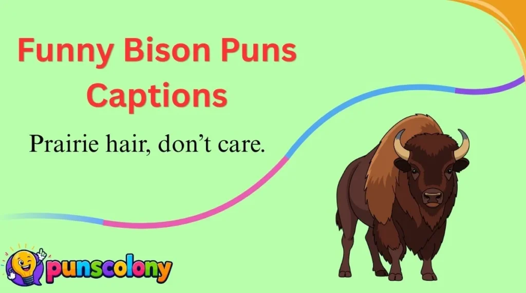 Funny Bison Puns Captions