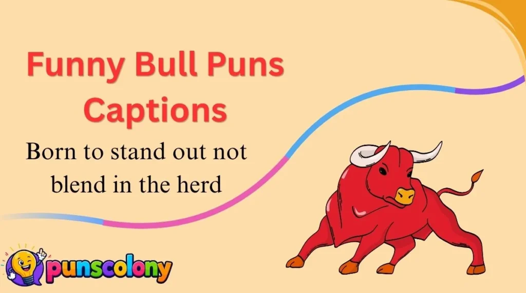 Funny Bull Puns Captions