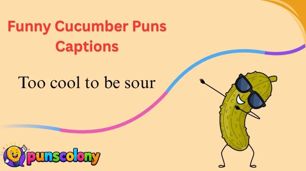 Funny Cucumber Puns Captions