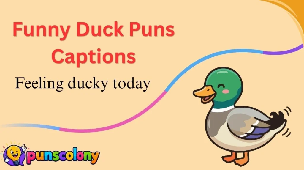 Funny Duck Puns Captions