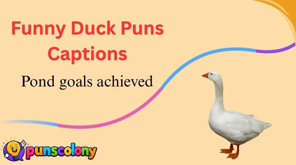 Funny Duck Puns Captions