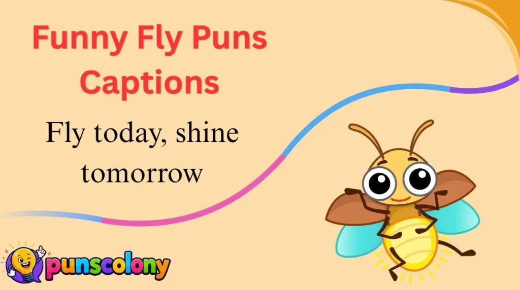 Funny Fly Puns Captions
