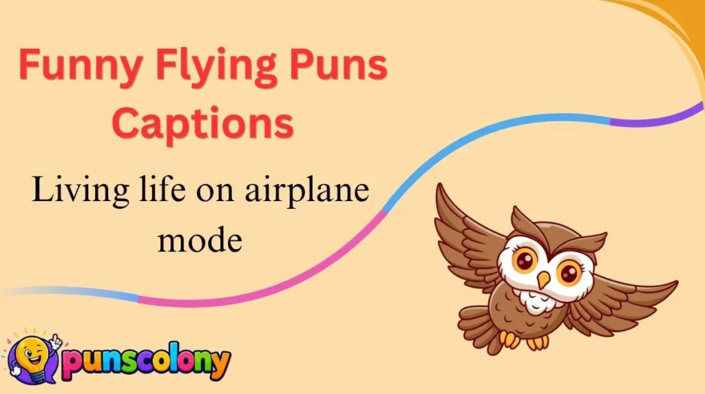 Funny Flying Puns Captions