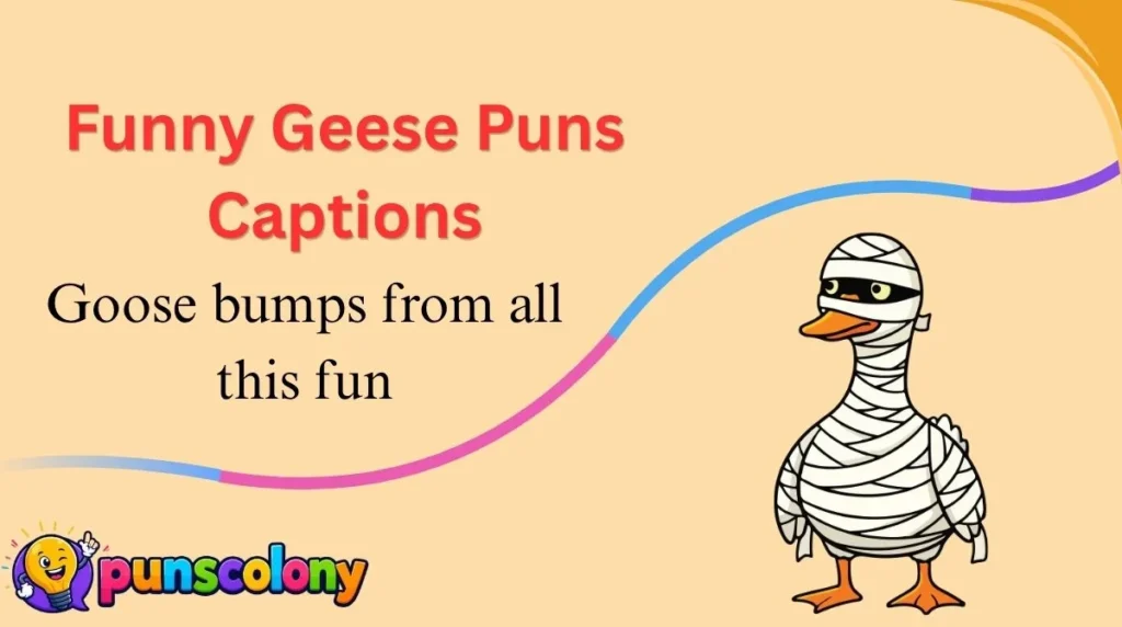 Funny Geese Puns Captions