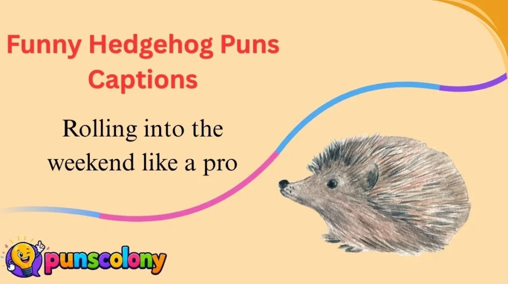 Funny Hedgehog Puns Captions