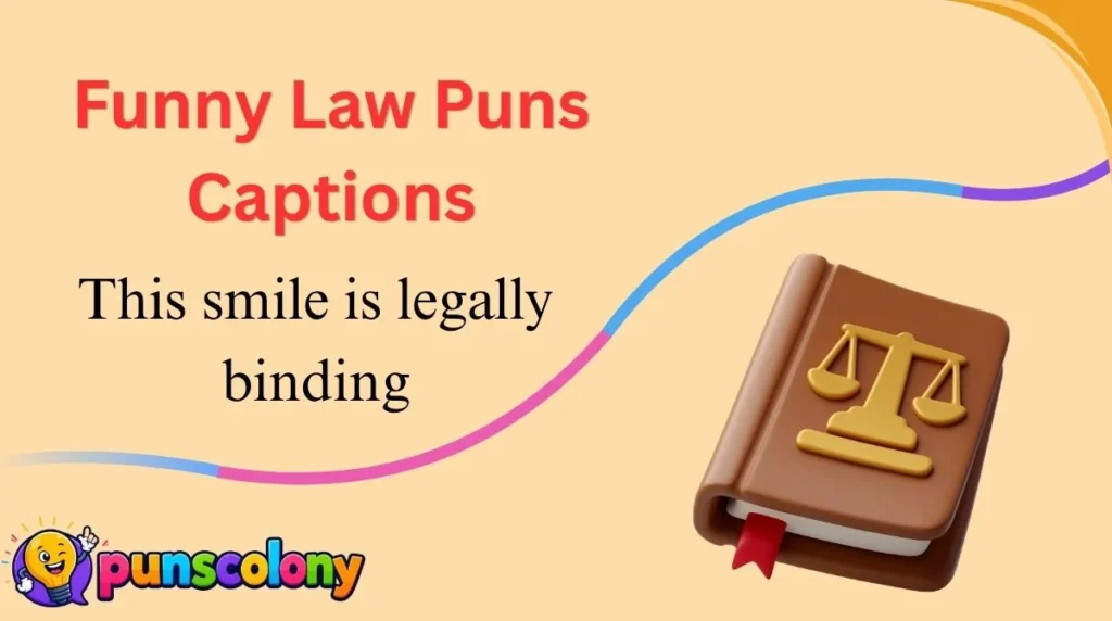 Funny Law Puns Captions