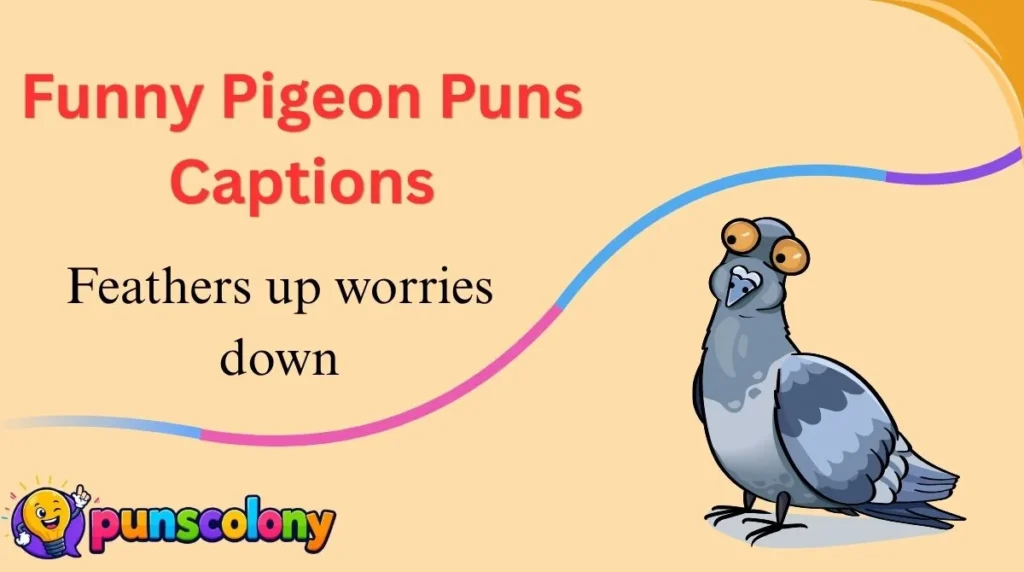 Funny Pigeon Puns Captions