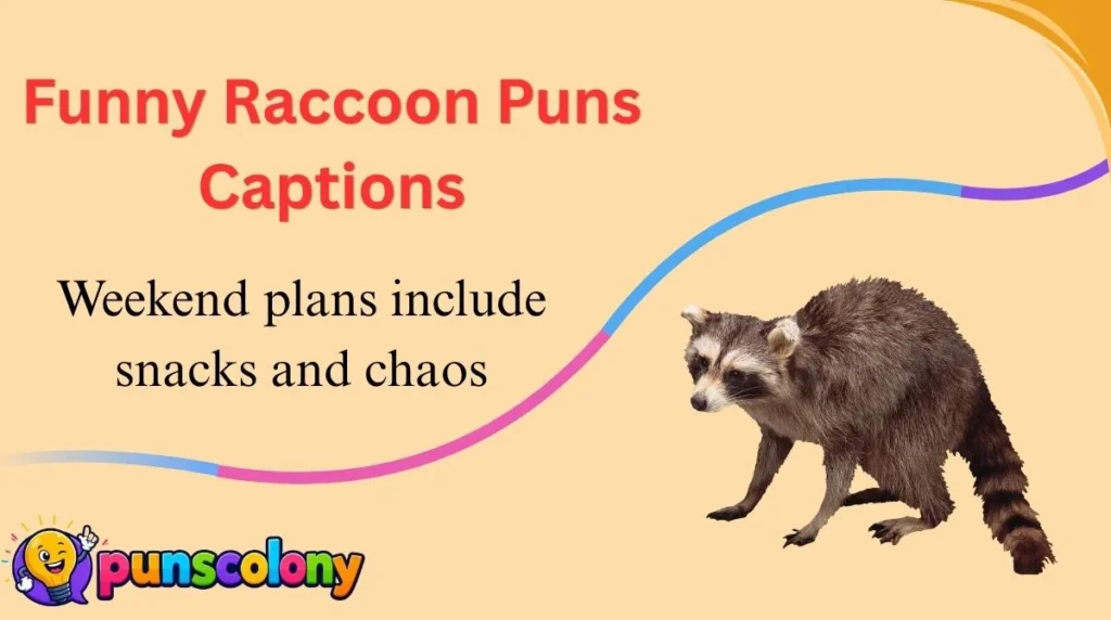 Funny Raccoon Puns Captions