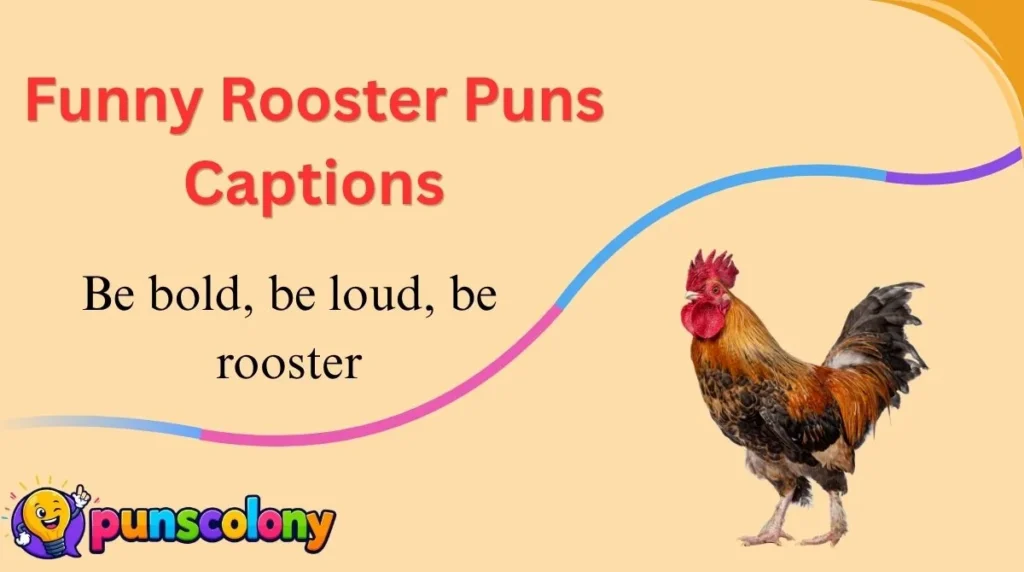 Funny Rooster Puns Captions