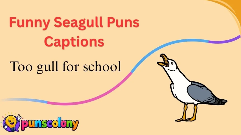 Funny Seagull Puns Captions
