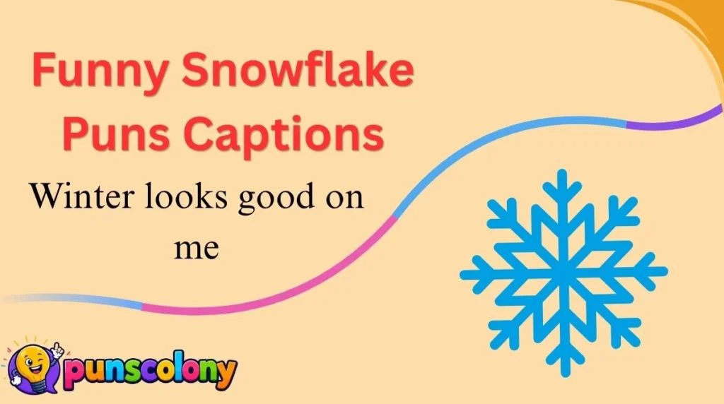 Funny Snowflake Puns Captions