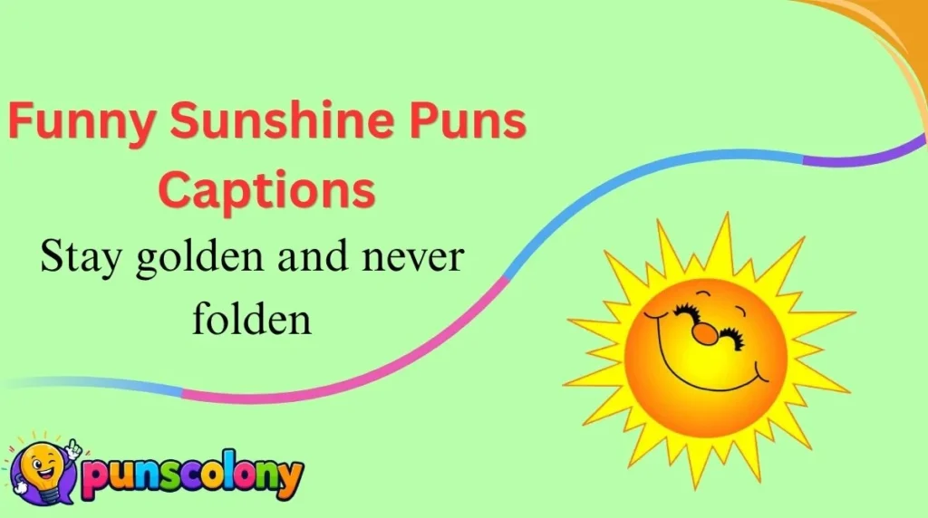 Funny Sunshine Puns Captions