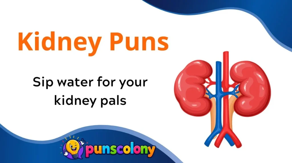 Kidney Puns