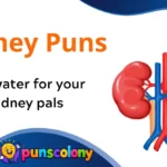 Kidney Puns
