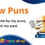 Law Puns