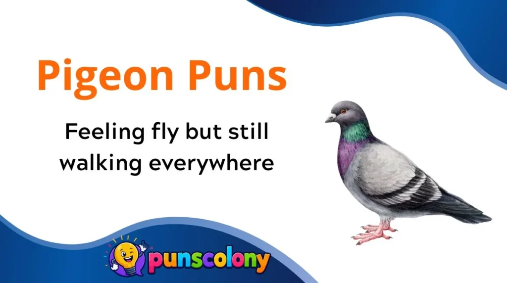 Pigeon Puns