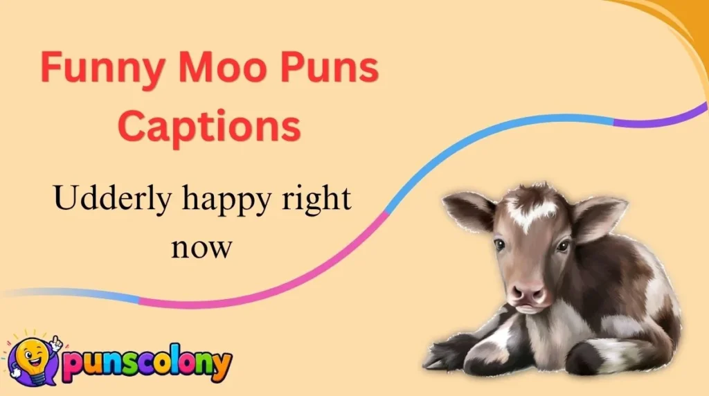 Funny Moo Puns Captions