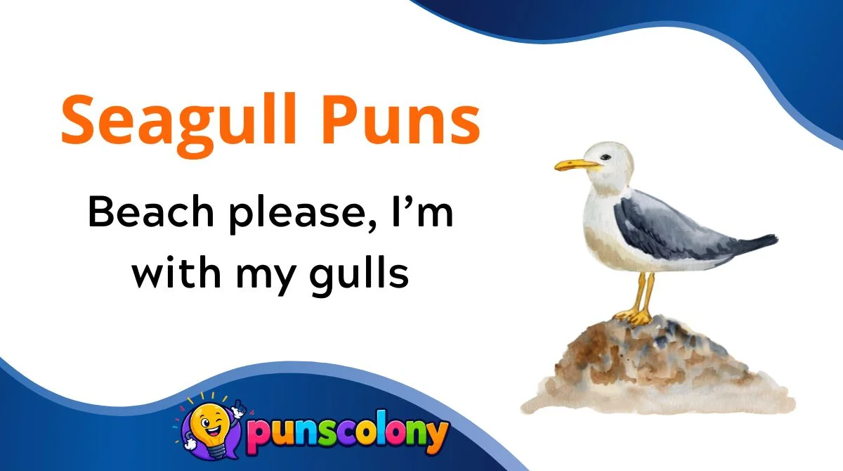 Seagull Puns