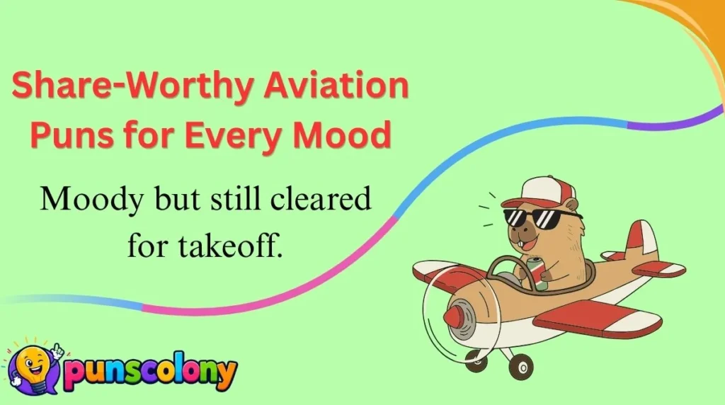 Share-Worthy Aviation Puns for Every Mood