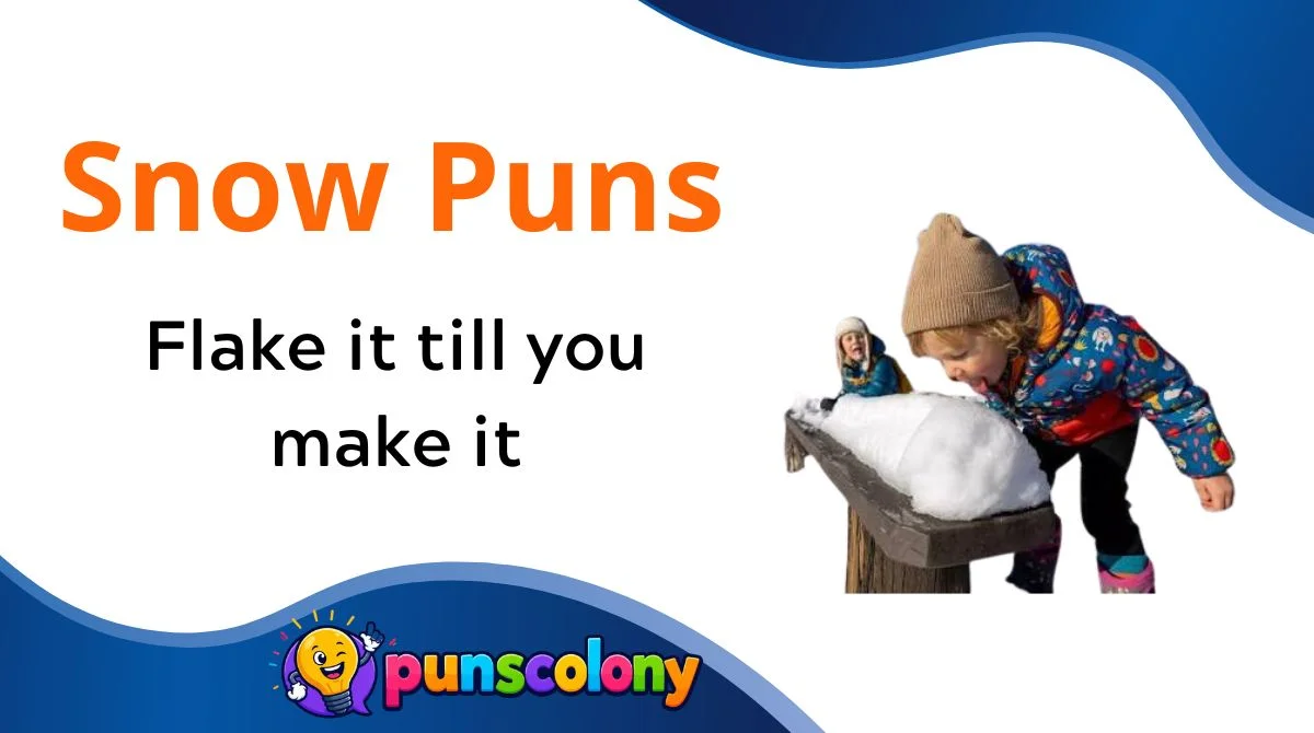 Snow Puns