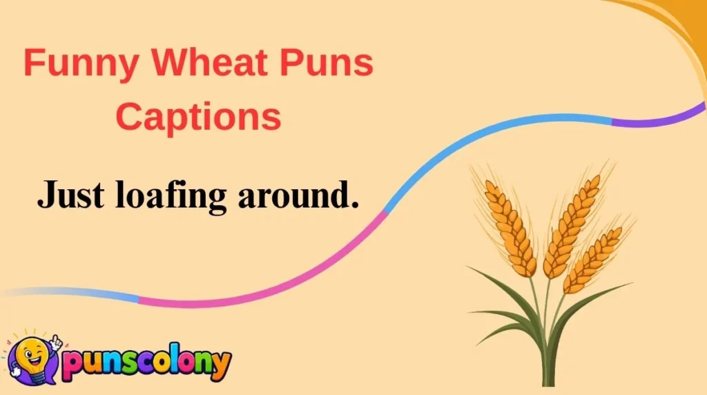 Funny Wheat Puns Captions