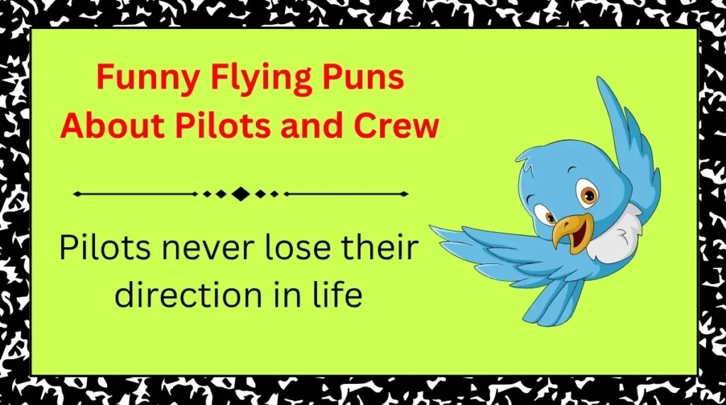 Funny Flying Puns About Pilots and Crew