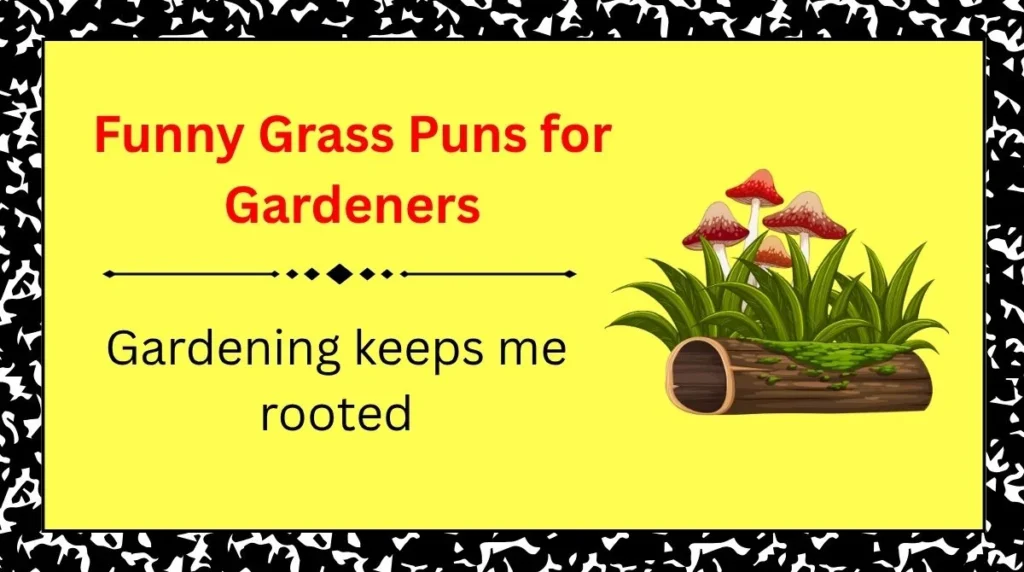 Funny Grass Puns for Gardeners