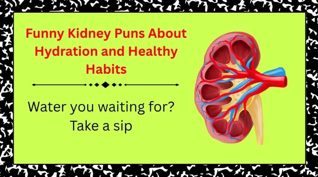 Funny Kidney Puns About Hydration and Healthy Habits