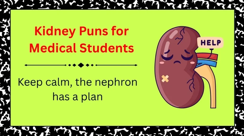 Kidney Puns for Medical Students