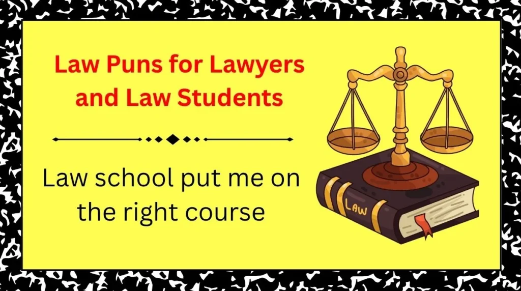 Law Puns for Lawyers and Law Students