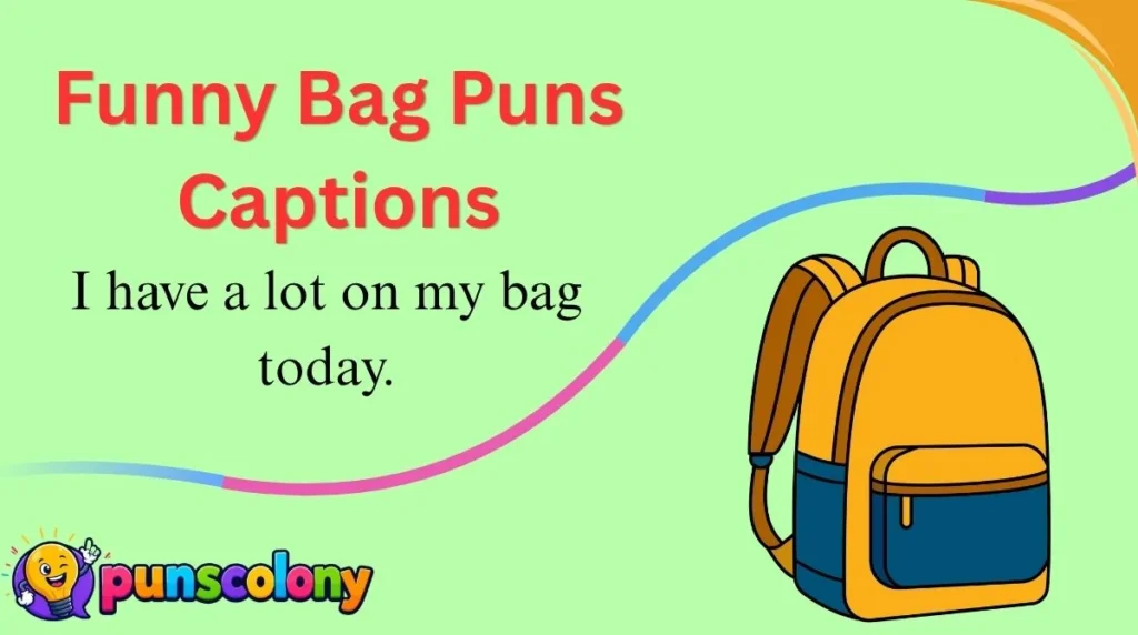 Funny Bag Puns Captions