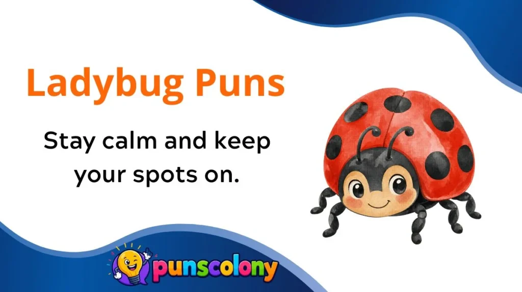 Ladybug Puns