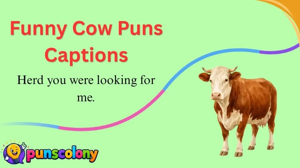 Funny Cow Puns Captions