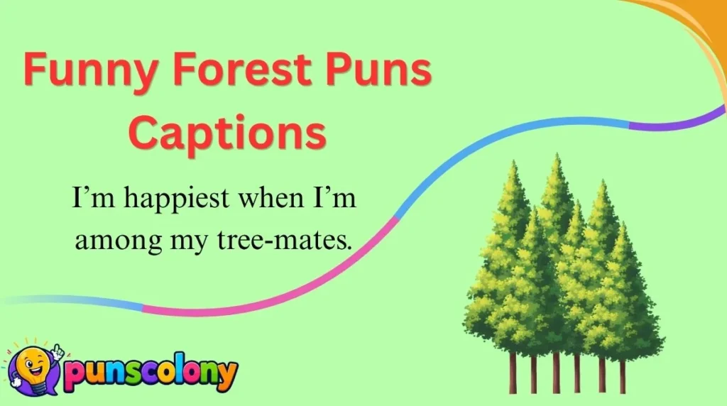 Funny Forest Puns Captions