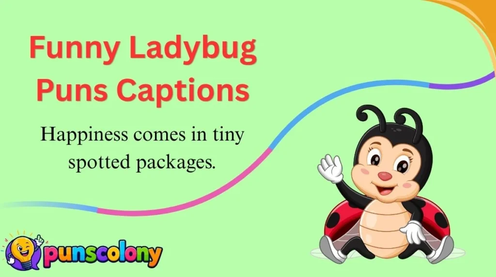 Funny Ladybug Puns Captions